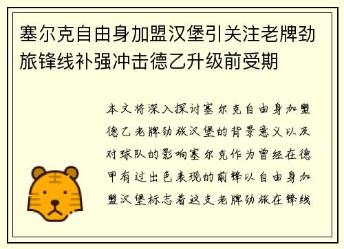 塞尔克自由身加盟汉堡引关注老牌劲旅锋线补强冲击德乙升级前受期